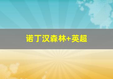 诺丁汉森林 英超